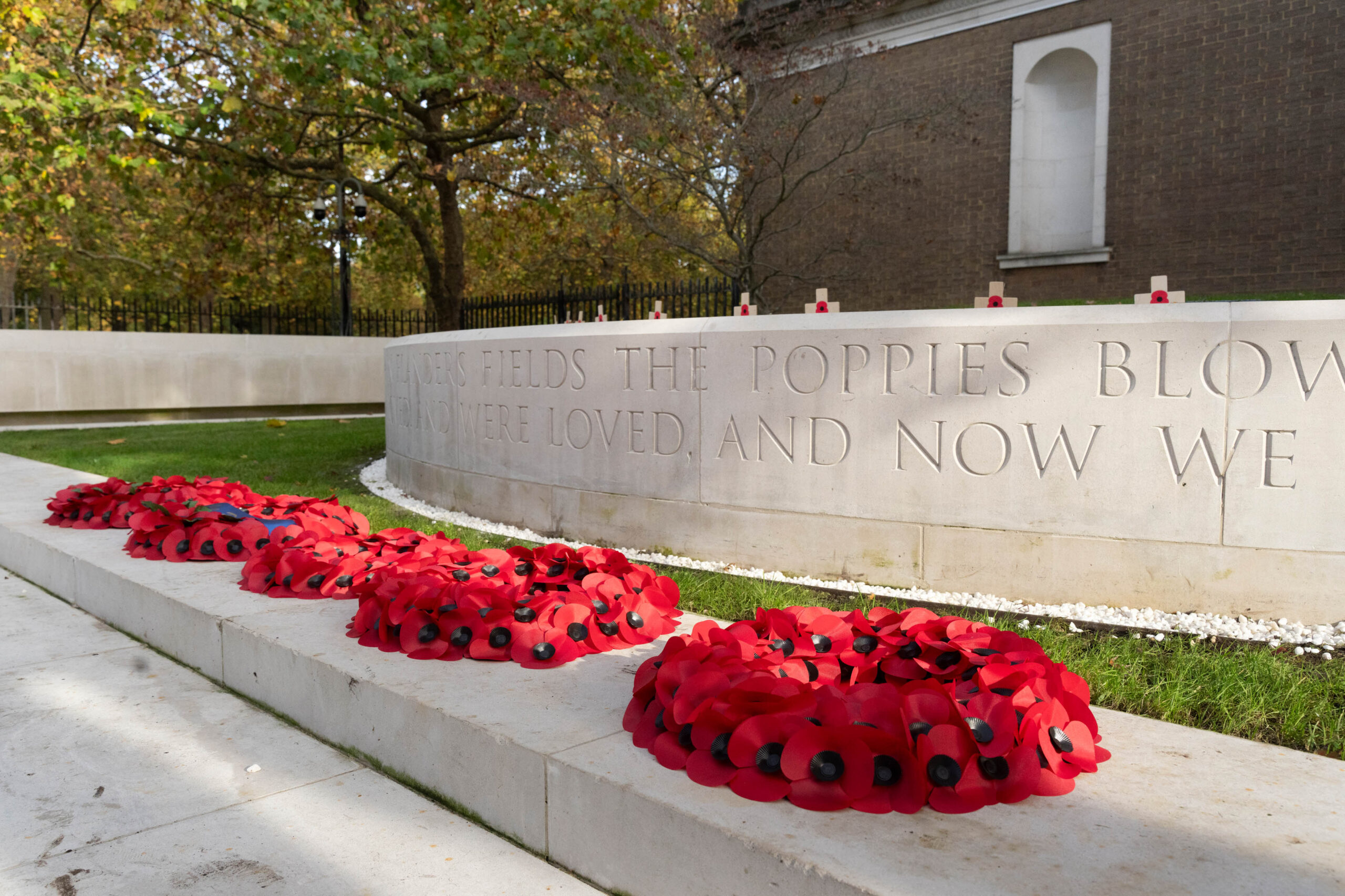 2024 11 11 1116 Mickey LF Lee MX54332 Mediumres Scaled